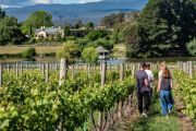 Endeavour, Warakirri snap up Tassie winery Josef Chromy for $55m