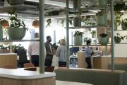 ‘Aesthetically beautiful’: GSK surpasses ‘workplace wellness’ ambitions with highest WELLS certification