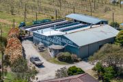 Famous Queensland juice factory and orchard for sale