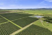 These high-production orchards across Australia are seeking new caretakers