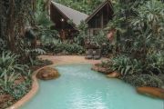 Rare family tree change on offer in the Daintree Rainforest