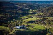 High-yield olive and grazing farm for sale