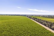 Strategic land and water asset listed in Langhorne Creek