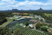 Housing squeeze puts Sunshine Coast lychee farm in developers’ sights