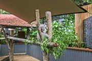 Tightly held Kuranda tourist attraction brought to market