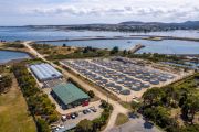 Fully operational abalone farm offered in Tasmania