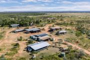 Kimberley cattle giant hits market after more than 60 years