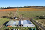 Macedon Ranges’ biggest vineyard hits the market for $3.5m+