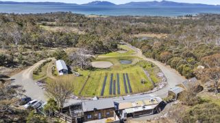 Kate’s Berry Farm and Shaylee Strawberries are ripe for the picking