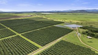 7 fruit and nut orchards ripe for the picking 7 fruit and nut orchards ripe for the picking