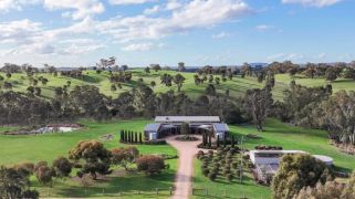Sheep, shiraz and serenity: Modern homestead and grazing farm near Heathcote could be yours