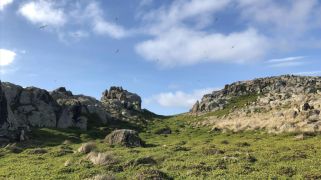 Tasmanian island for sale with bright future for reinvention Tasmanian island for sale with bright future for reinvention