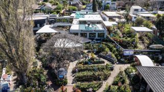 Iconic riverside nursery hits the market after 90 years