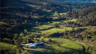 Award-winning olive estate Hopeful Ranch hits the market Award-winning olive estate Hopeful Ranch hits the market