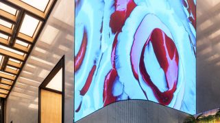 The power of art to transform corporate offices The power of art to transform corporate offices