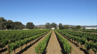 These 7 commercial properties mix business with pleasure