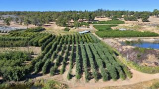 Karragullen’s best-known produce pit stop offers secure investment Karragullen’s best-known produce pit stop offers secure investment