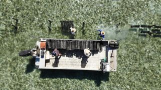 Rare Moreton Island oyster farm with airstrip attracts strong buyer interest