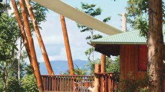 From 'wall of Lantana' to $2.7m sanctuary: The incredible 30-year legacy of Rose Gums