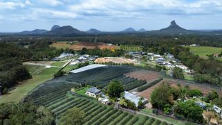 Why developers are circling this lychee farm on the Sunshine Coast