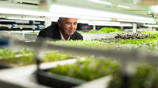 Australian hotels turn vacant spaces into productive urban farms