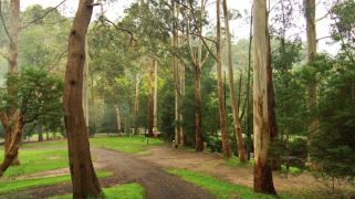 Gippsland’s Tarra Valley Retreat listed for sale at $1.45m