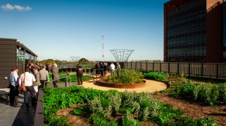 How designing with country is reshaping commercial real estate