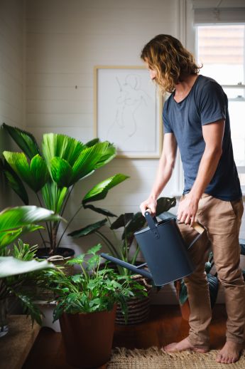 Urban Growers Gardening Indoor Plants