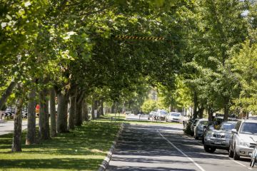 Melbourne's leafy suburbs not always best for open space, study finds