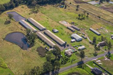 gunning malcolm reia accounts ex