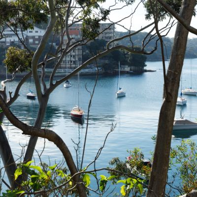 Why Cremorne Point is paradise