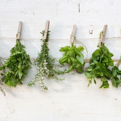 10 tips to help you grow all the herbs