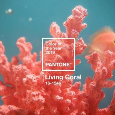 Pantone’s Colour of the Year for 2019 is Living Coral