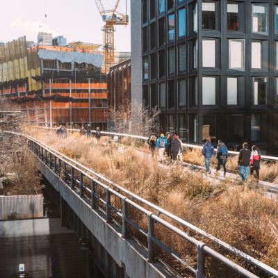 What we can learn from NYC's gardening