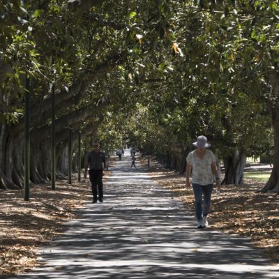 Park life: A day out in Fawkner Park, South Yarra