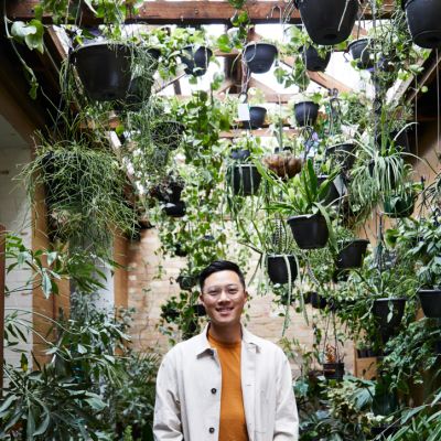 The indoor plant trend set to dominate