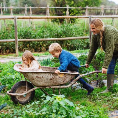 6 jobs to do in the garden this winter