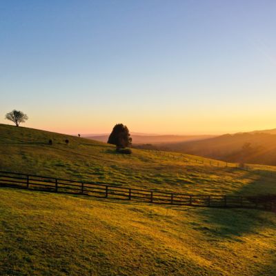 Southern Highlands’ bumper run of 2019 delivers a who’s who of shoppers