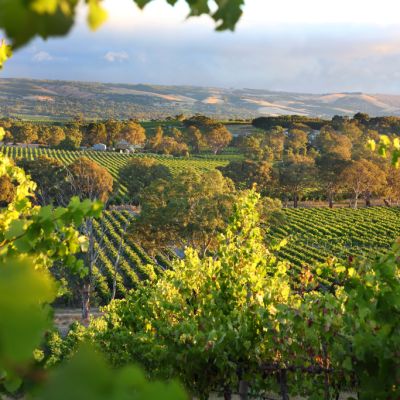 Your next wine country adventure