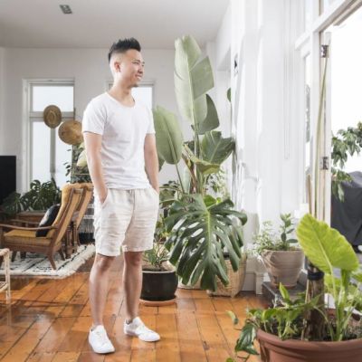 The best houseplants for beginners