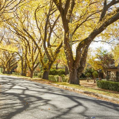 Top 10 best autumnal homes for sale in Canberra