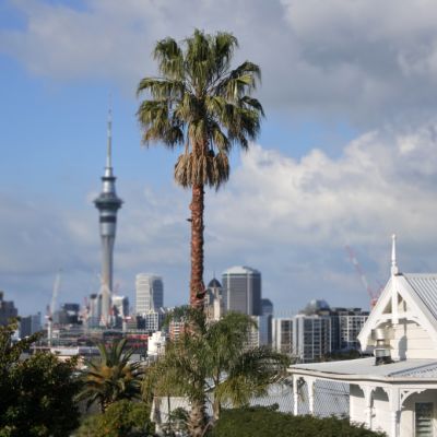NZ banned foreign ownership. Does Australia need to follow suit?