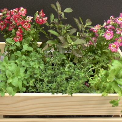 How to make a self-watering herb planter box