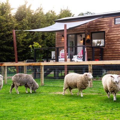 The ultimate country retreat: These tiny houses come with 500 rescued farm animals