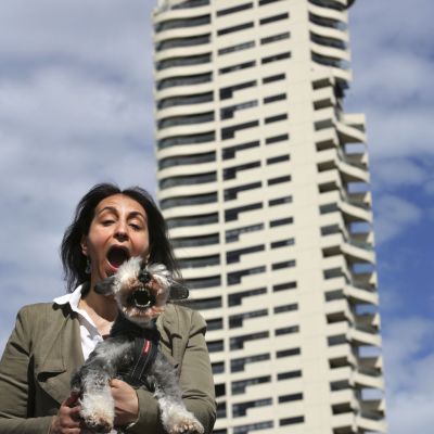 Pets now allowed in Sydney apartments as blanket ban on animals lifted by NSW Court of Appeal