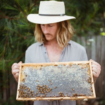 The basics of beekeeping