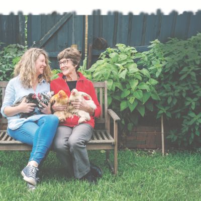 Backyard chickens and the people who love them