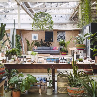 The indoor plant trends for 2020