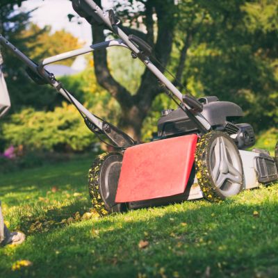 Tenant kicked neighbour in the groin in nasty dispute over lawnmowing