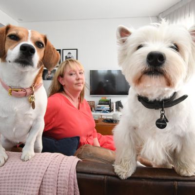 Pet bans: Owner of two dogs distraught as pet-friendly apartment building restricts furry friends
